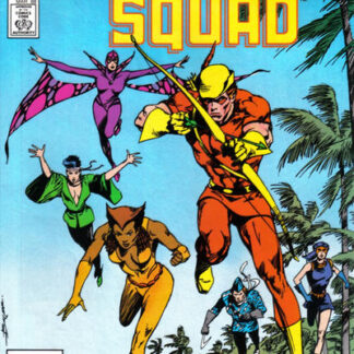 Suicide Squad #11 (VF)