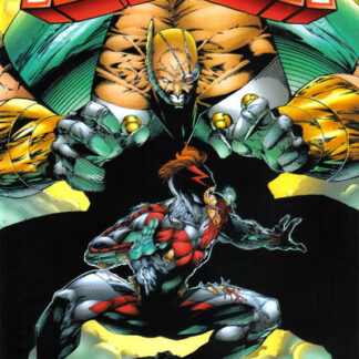 Asylum (Maximum) #11 (NM)