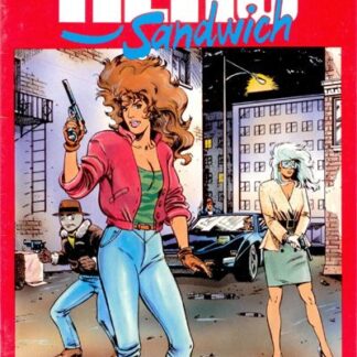 Hero Sandwich #7 (FN)