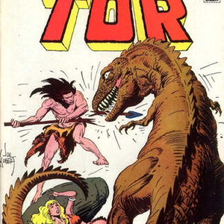 Tor (DC) #4 (FN)